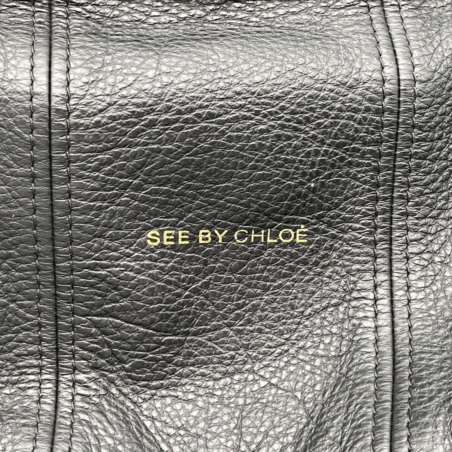 シーバイクロエ SeeByChloe 2way ハンドバッグ ショルダーバッグ 肩掛け カバン 鞄 レザー 本革 ブラック 黒 プリーツ ギャザー ゴールド金具 レディース エレガント クラシック カジュアル 通勤 通学 お出かけ デイリー 普段使い 良品 S23