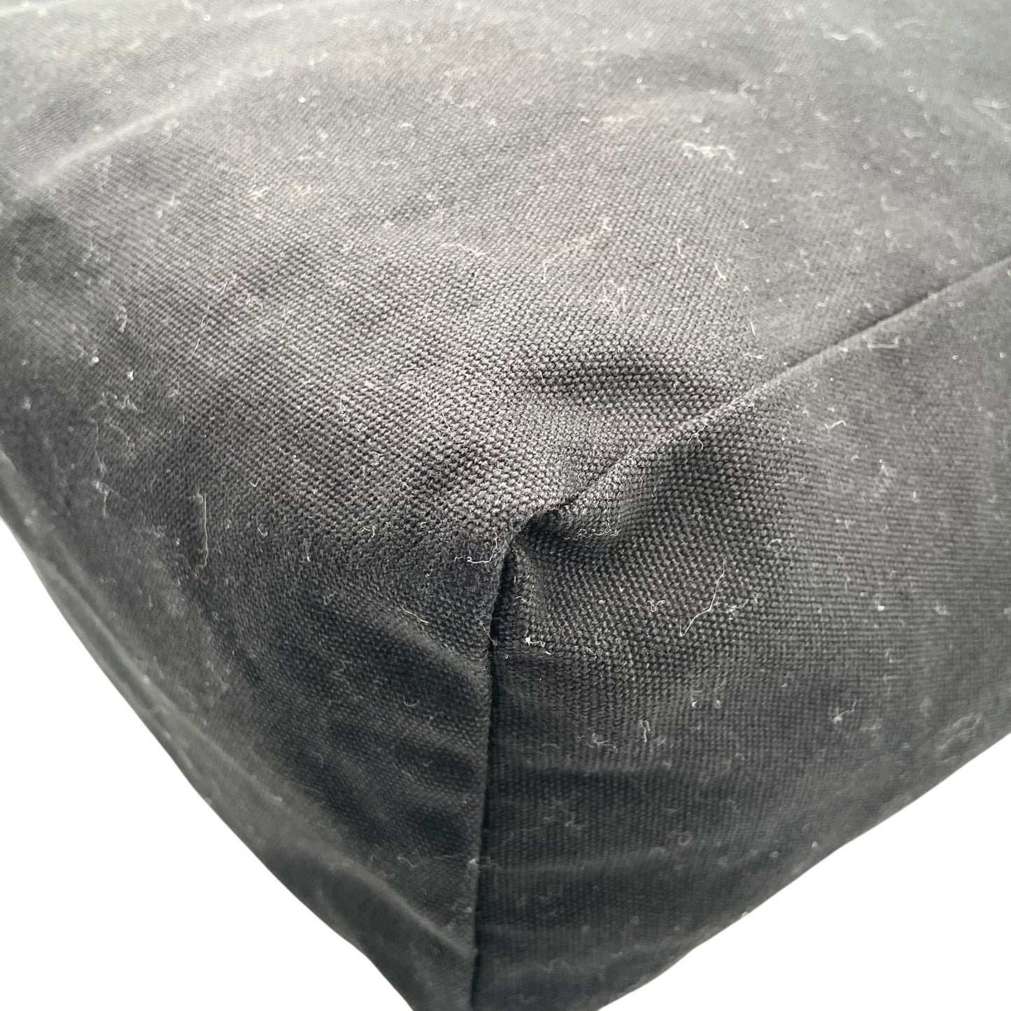 アニエスベー agns b. トートバッグ キャンバス 黒 ブラック ロゴプリント 大容量 ショルダー T3