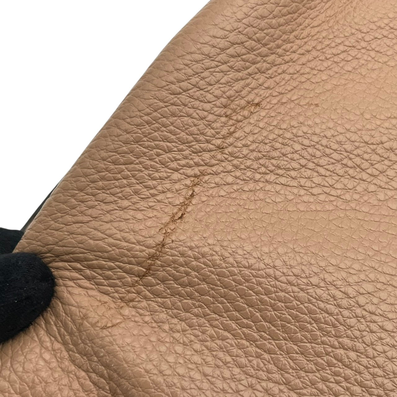 COACH コーチ ショルダーバッグ ホーボー ペブルドレザー ピンクベージュ ヌード ゴールド金具 牛革 2way 大容量 レディース 通勤 普段使い チェルシー 斜めがけ 上品 ワンショルダー チェーン ピンク F31399 U3