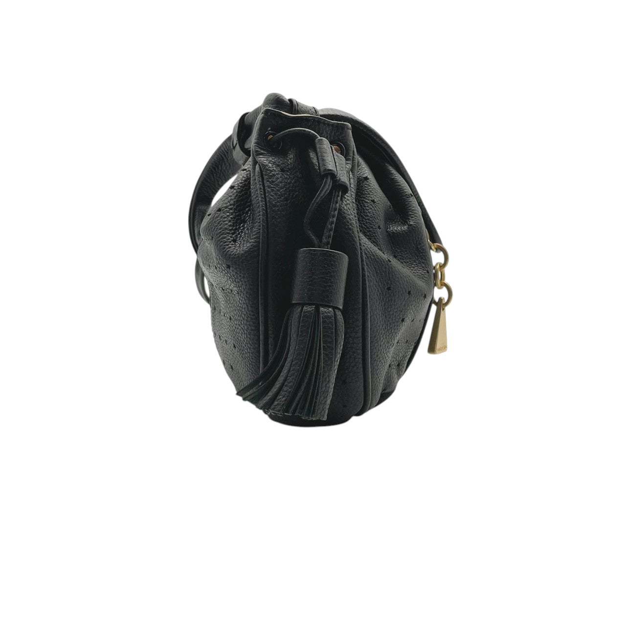 美品 シーバイクロエ SeeByChloe ショルダーバッグ クロスボディ レザー 本革 ブラック 黒 星柄 パンチング タッセル フリンジ ゴールド金具 斜め掛け可 肩掛け レディース エレガント クラシック カジュアル お出かけ 良品 保証書 S23