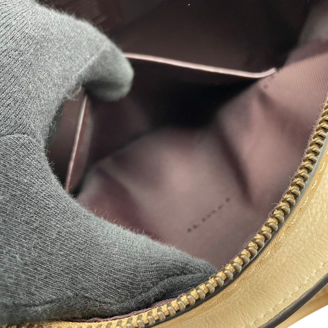美品 コーチ COACH ドリーマー 2way ショルダーバッグ ハンドバッグ 69553 バタフライ アップリケ レザー 本革 アイボリー ピンク 肩掛け 斜め掛け可 チャーム 通勤 通学 旅行 エレガント クラシカル ビンテージ 希少 ブランド 鞄 S66