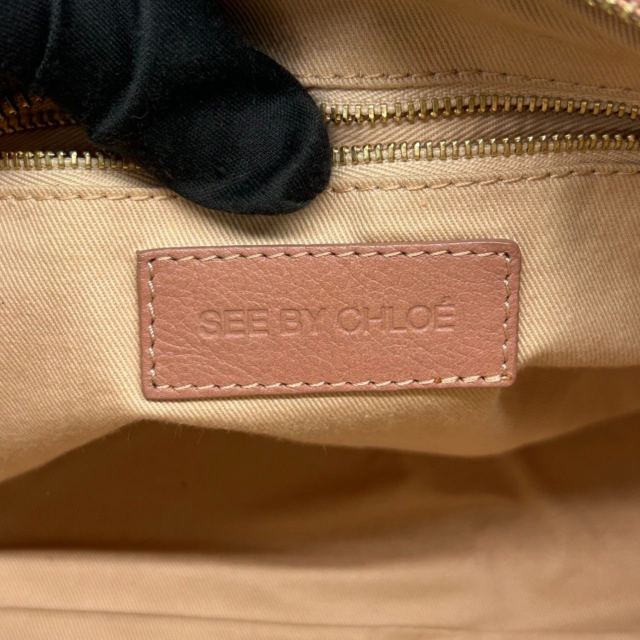 【美品】シーバイクロエ APRIL 2WAY ハンドバッグ ショルダーバッグ レザー バイカラー ピンクベージュ レディース 斜め掛け可 SEE BY CHLOE エイプリル ロゴプレート エレガント フェミニン コンパクトデザイン U9