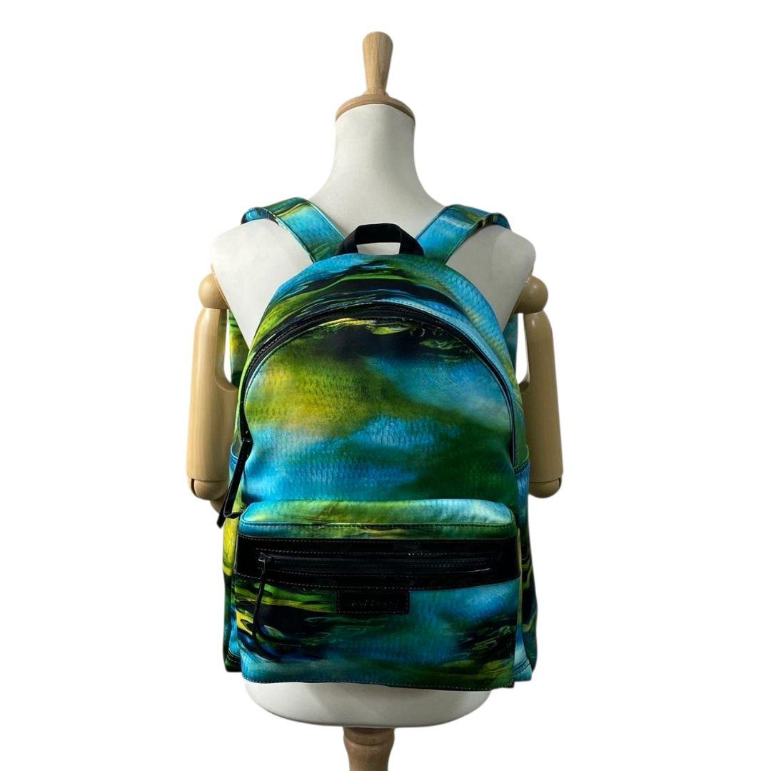 美品　ロンシャン　バックパック　緑　青　総柄　ナイロン　u15　ル プリアージュ　パテント　グリーン　ブルー　イエロー　ネオ ファンテジー アーバンネイチャー　LONGCHAMP　本物保証　鑑定済