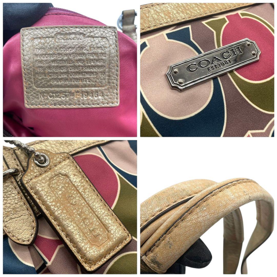 コーチ トートバッグ 総柄 シグネチャー ワンショルダー キャンバス s8 ハンドバッグ 肩掛け可 肩かけ可 レザー 本革 マルチカラー シルバー金具 ロゴプレート ロゴタグ COACH F19461